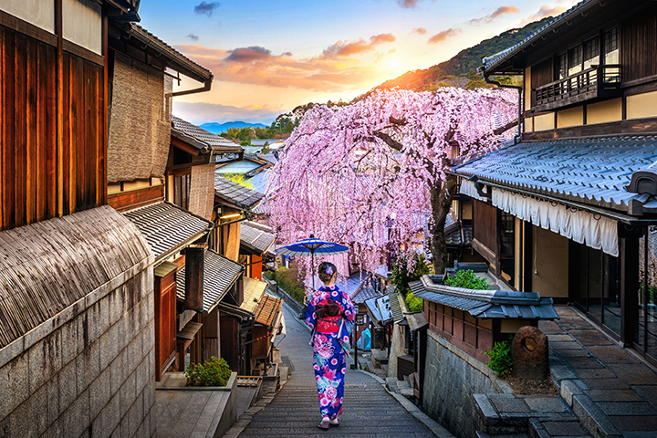 Ways of the Shogun