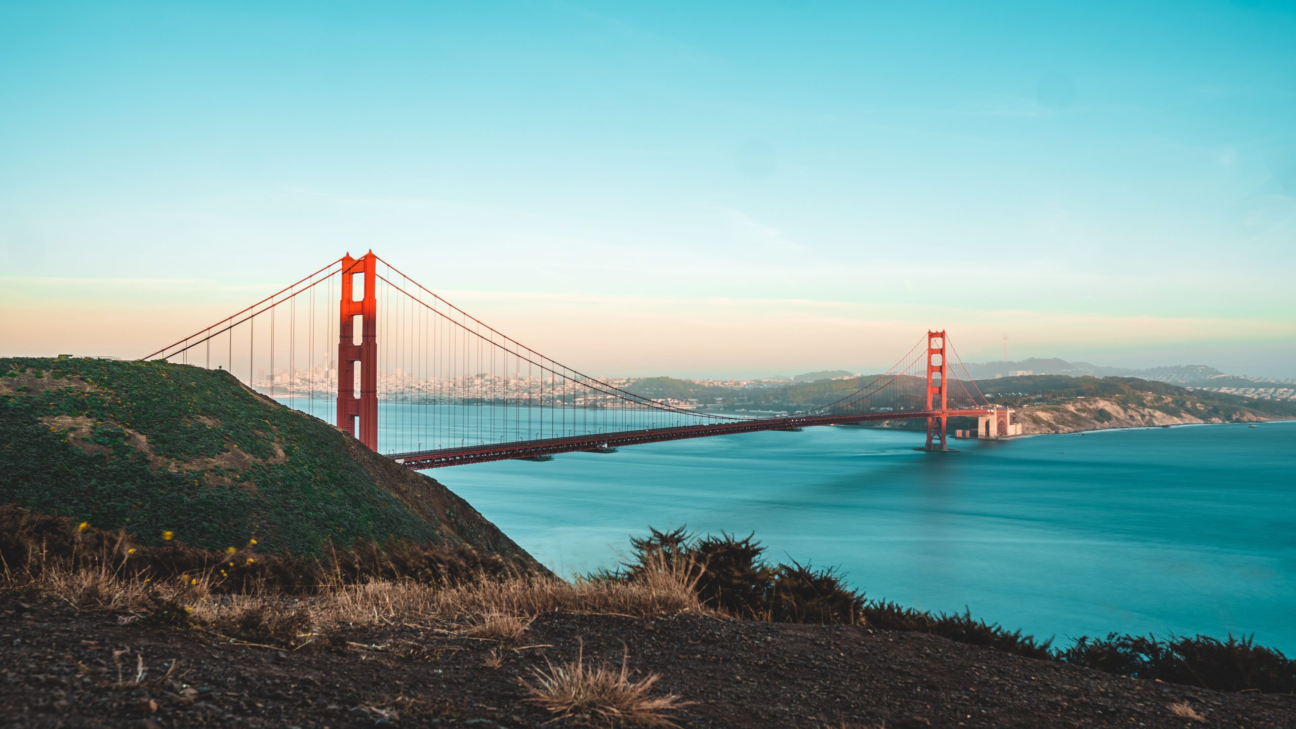 San Francisco Bay Area Network