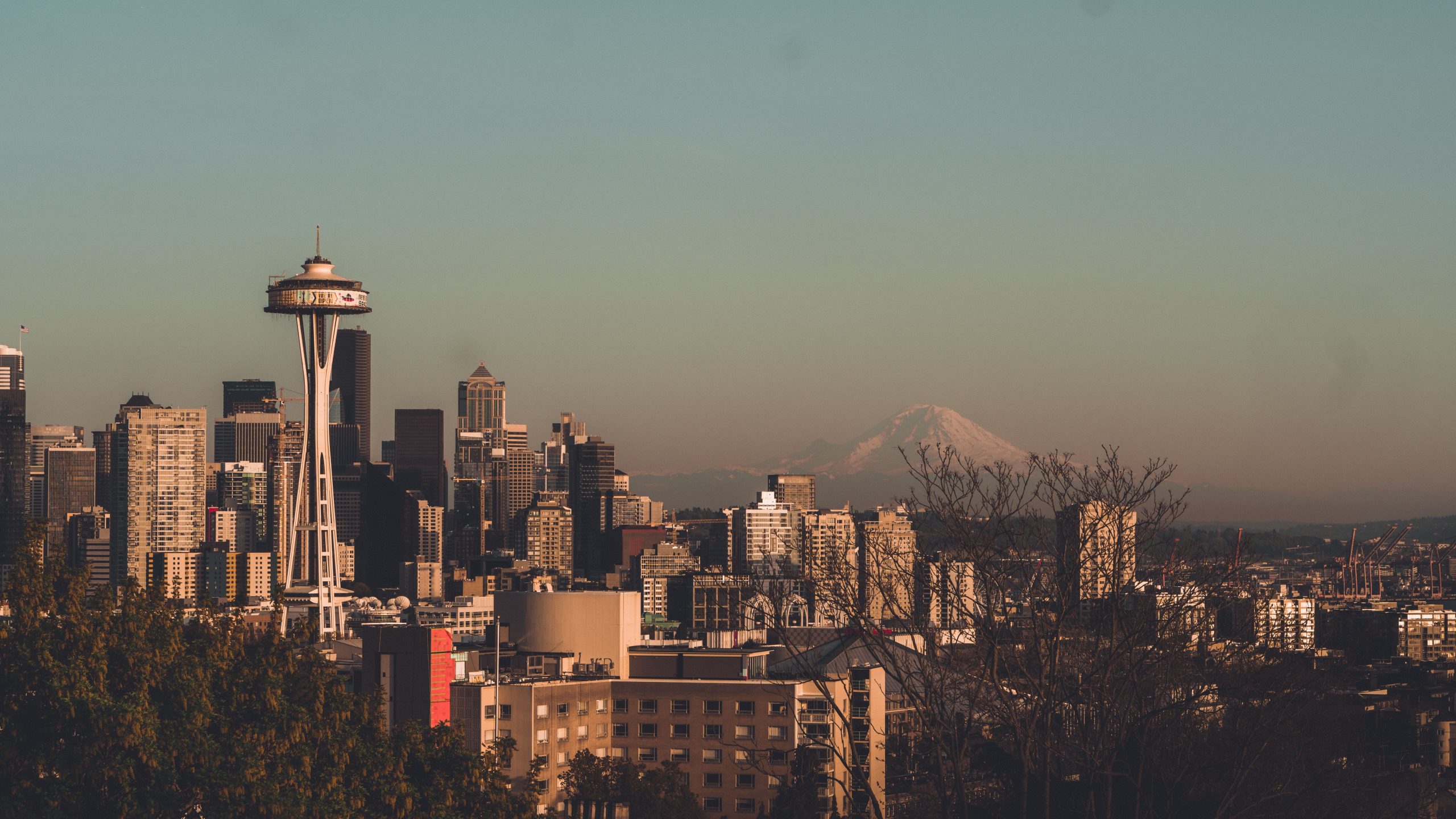 Seattle Network