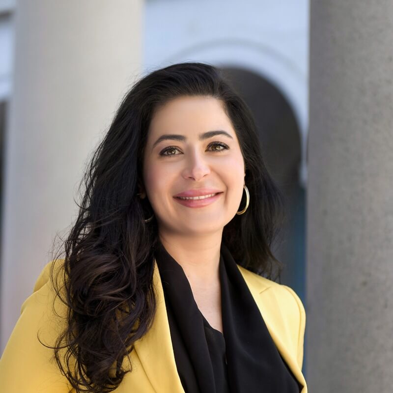 Natalie Samarjian on fostering civic engagement in a time of political polarization