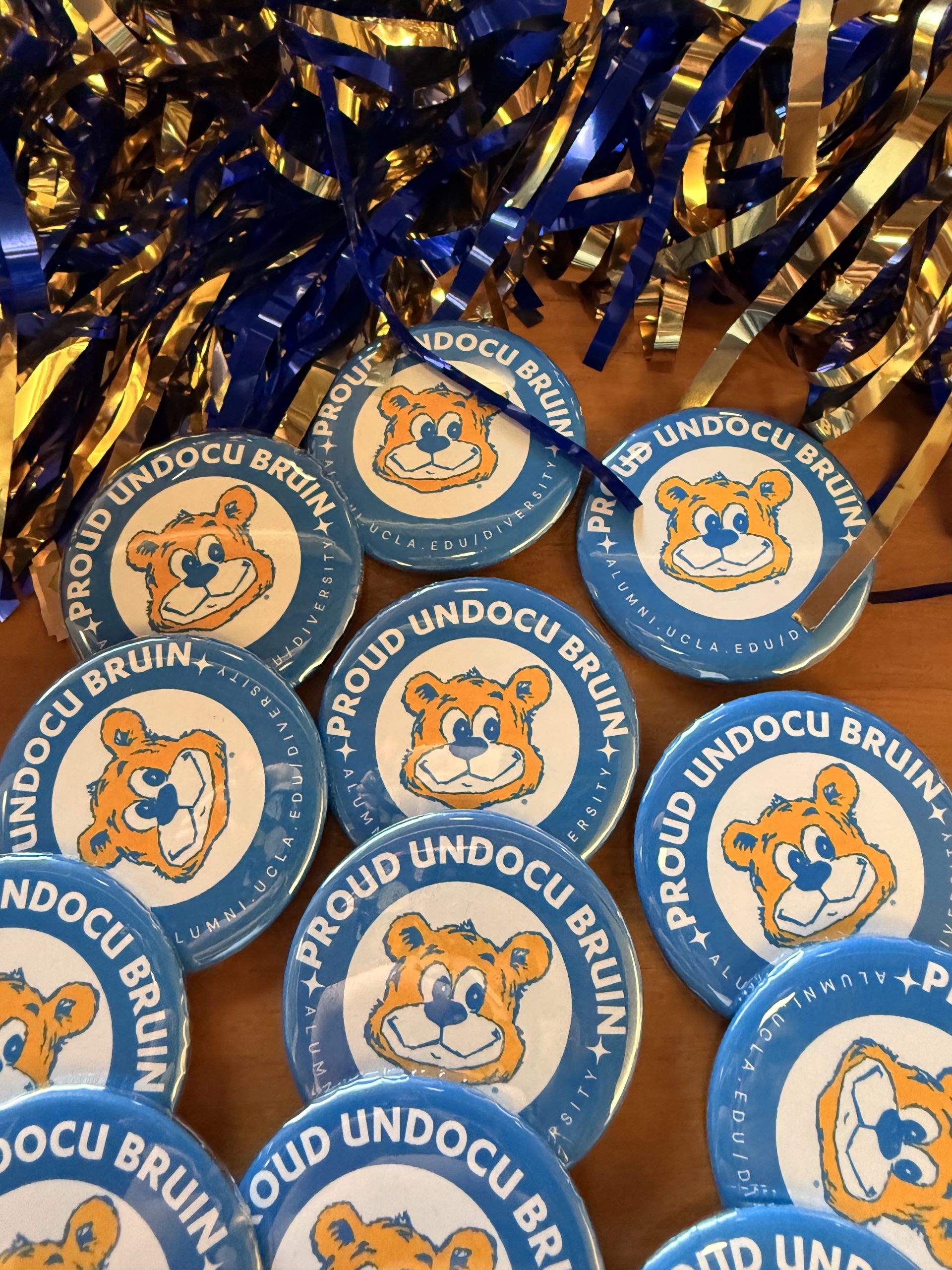 Proud Undocumented Bruin pins