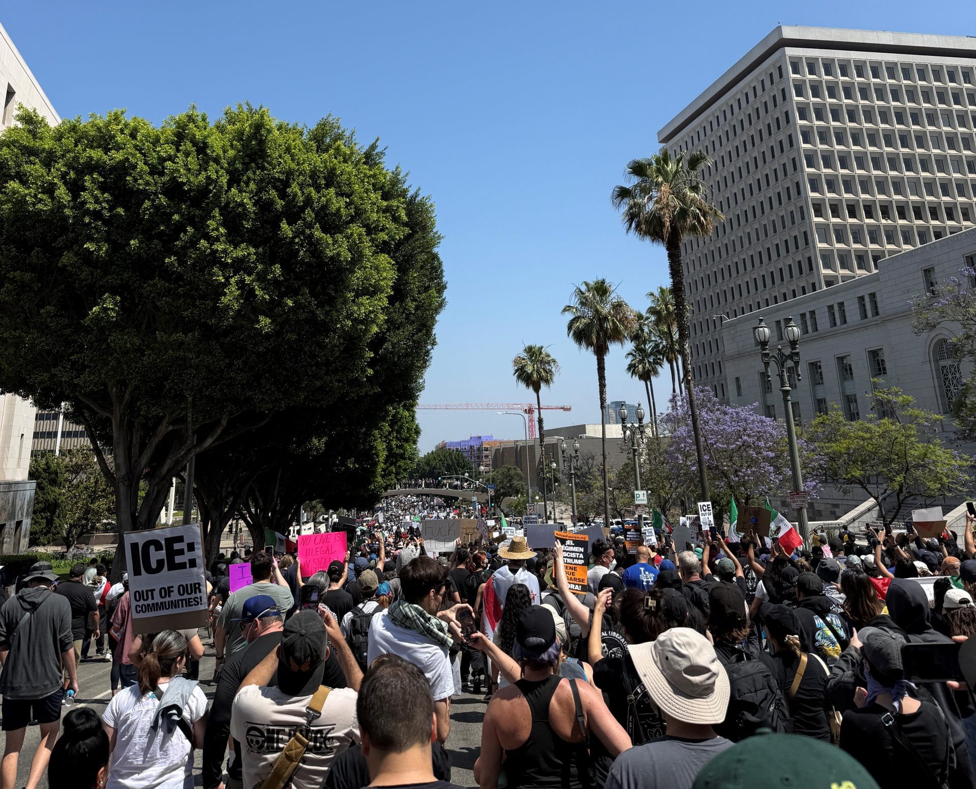 ICE protest
