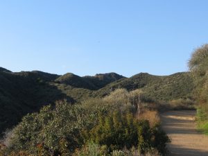 Westside Network: UCLA Alumni September Hike
