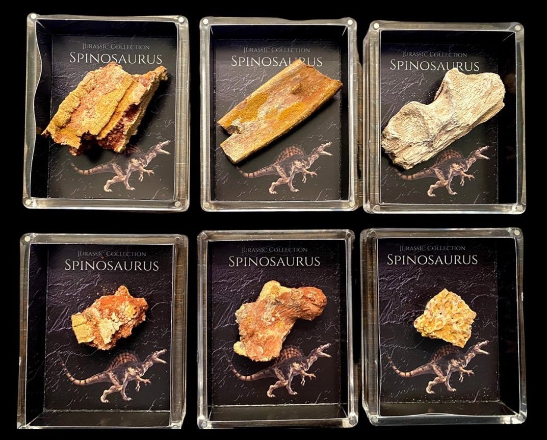 Jurrasic Gallery