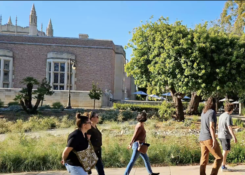 UCLA landscaping with native plants