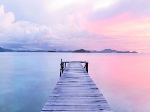 Bay Area Bruins : October Guided Meditation