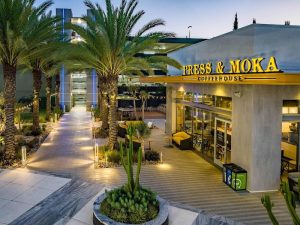 Orange County Network: Bruin Brew: Press & Moka