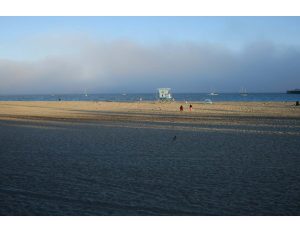 Bay Area Bruins: Surfrider Beach Clean Up in Santa Cruz