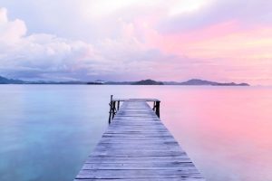 Bay Area Bruins – November Guided Meditation
