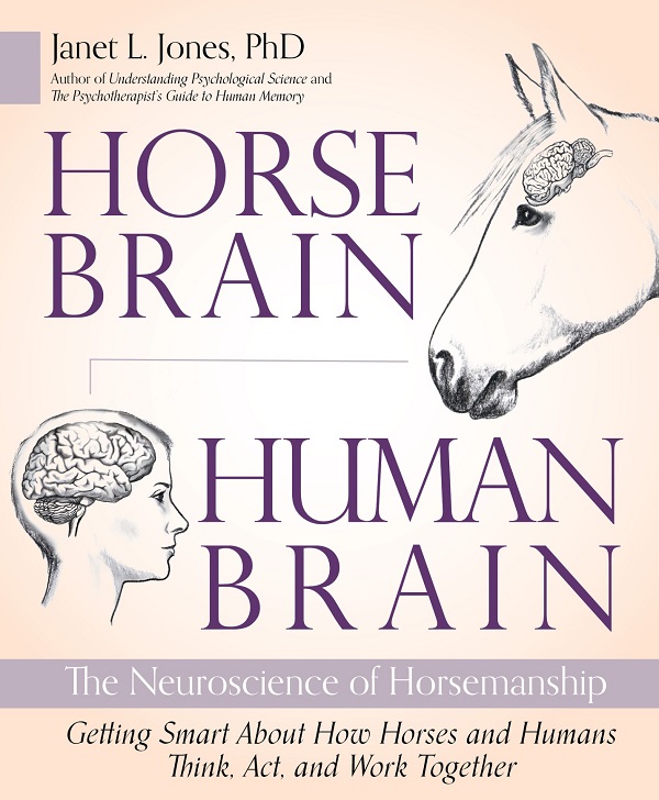 Horse Brain Human Brain by Janet Jones