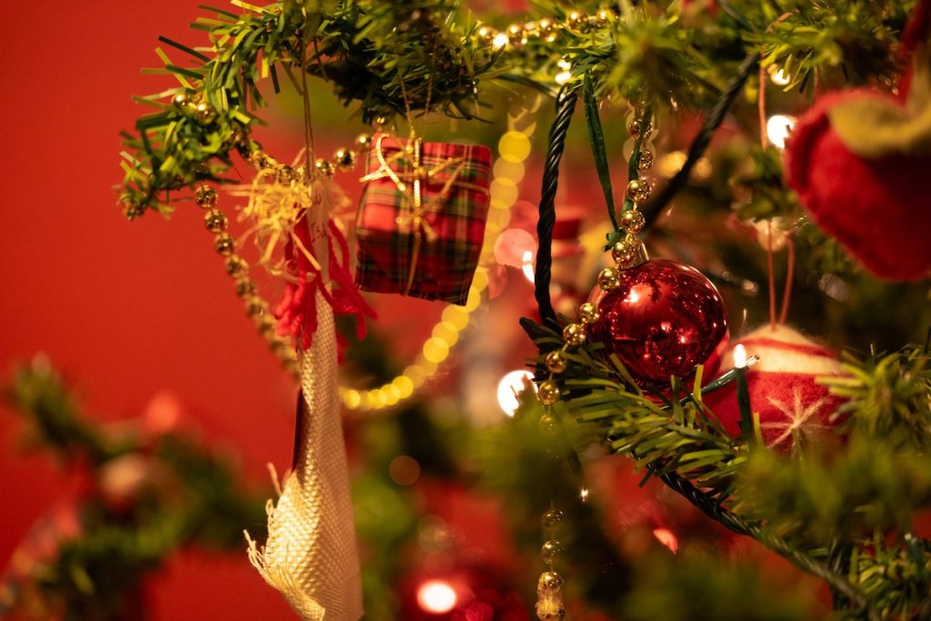 Bay Area Bruins: Alumni Jingle & Mingle