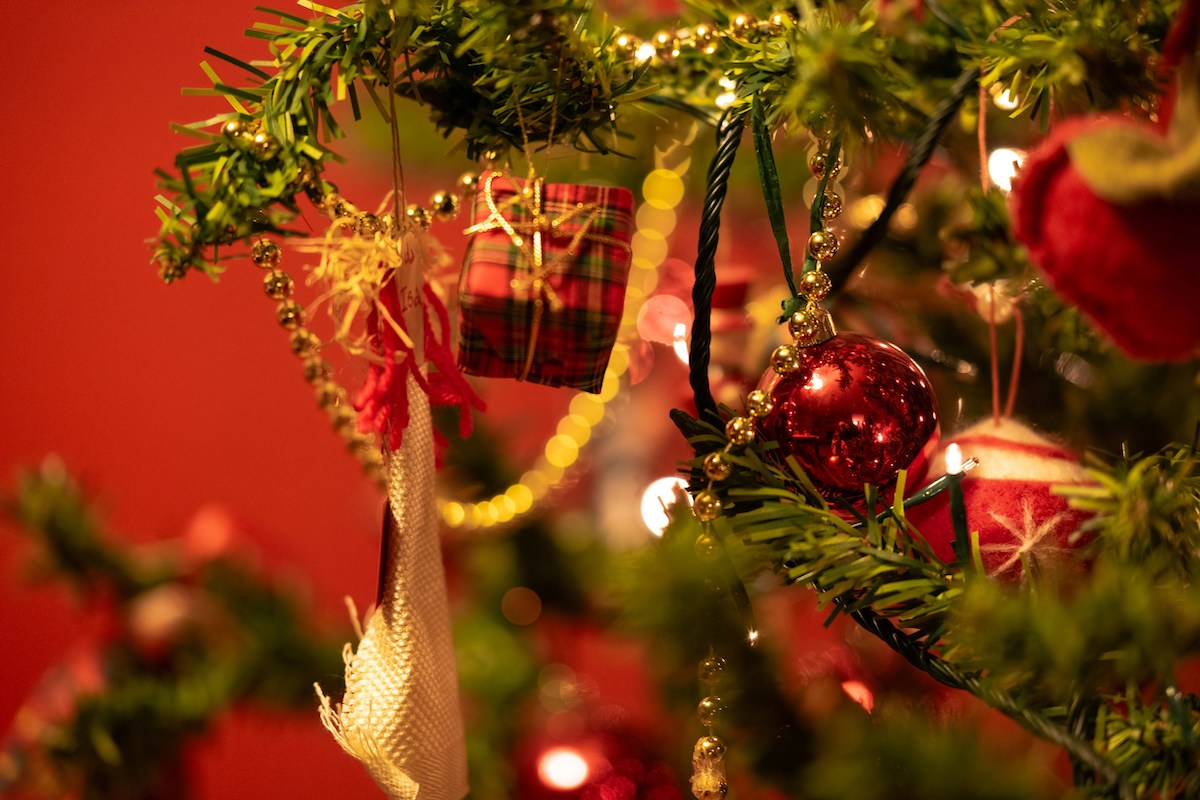 Bay Area Bruins: Alumni Jingle & Mingle