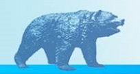 Bear - blue