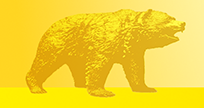 Bear - gold