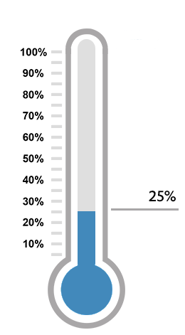 Thermometer indicating that a financial goal it at 25%