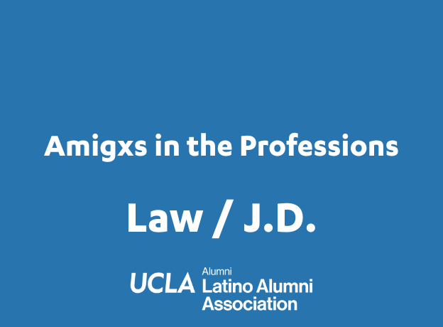 Amigxs in the Professions Law