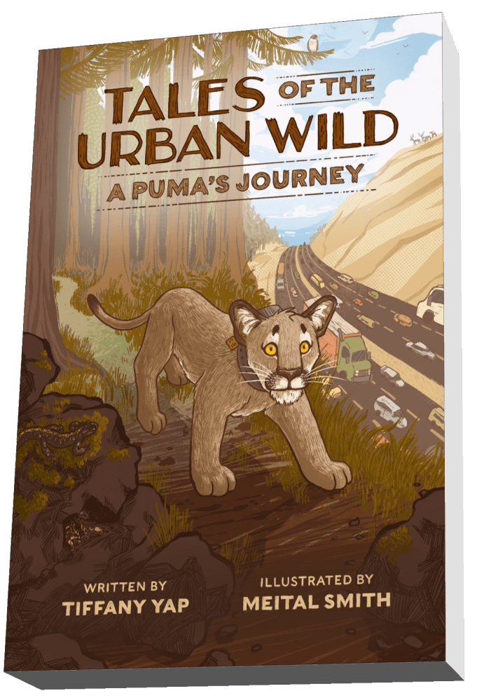 Tiffany Yap book cover - Tales of the Urban Wild