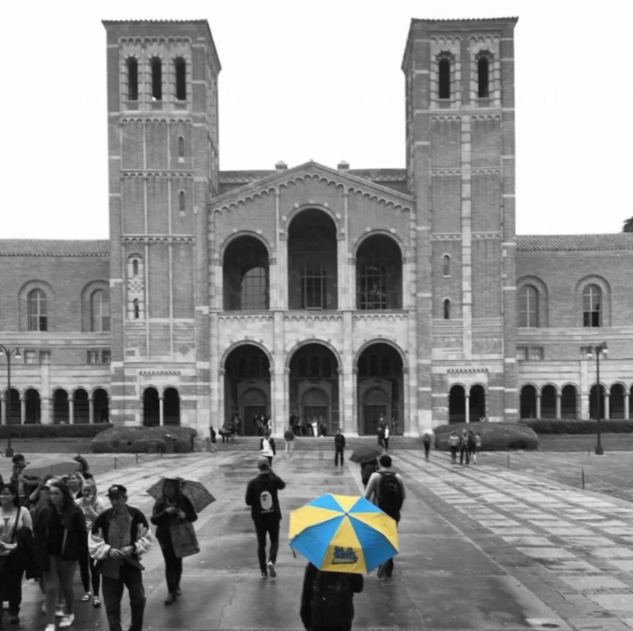 Instagram post - blue and gold umbrella in black and white Royce quad