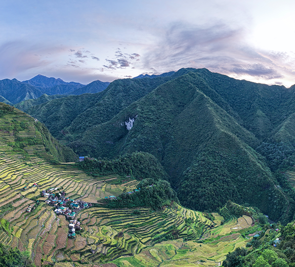 Generic forested mountains image